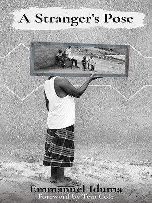 cover image of A Stranger's Pose